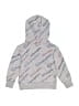Champion Silver Pullover Hoodie Size 3T - photo 2