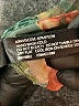 Torrid Green Kimono One size - photo 8