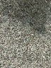 MNG Ivory Tan Cargo Pants Size 4 - photo 10