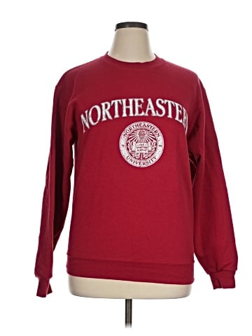 Champion Sweatshirt (view 1)