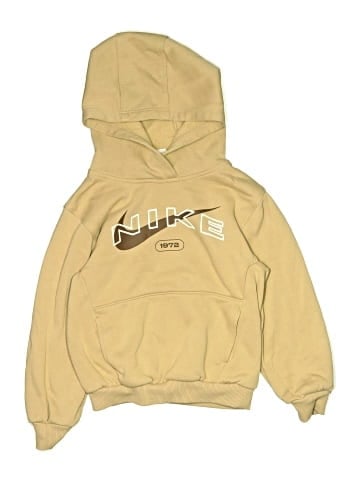 Nike Pullover Hoodie (view 1)