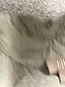 J.Jill Gray Long Sleeve Button-Down Shirt Size M - photo 7
