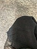 Active Basic Black Tank Top Size S - photo 8
