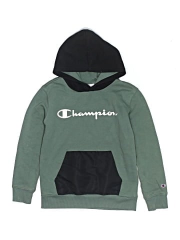 Champion Pullover Hoodie (view 1)