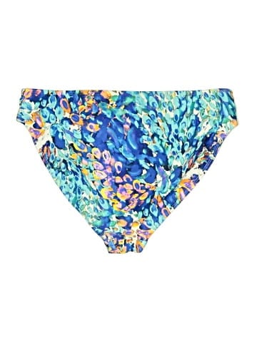 Venus Swimsuit Bottoms (view 2)