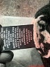 Sanctuary Stripes Black Turtleneck Sweater Size M - photo 8