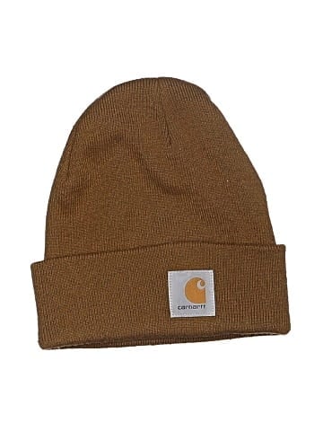 Carhartt Beanie (view 1)
