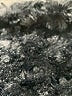 Jaclyn Smith 100% Polyester Black Scarf One size - photo 3