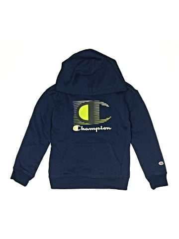 Champion Pullover Hoodie (view 1)