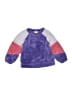 Crewcuts Outlet Color Block Purple Pullover Sweater Size 2 - 3 - photo 1