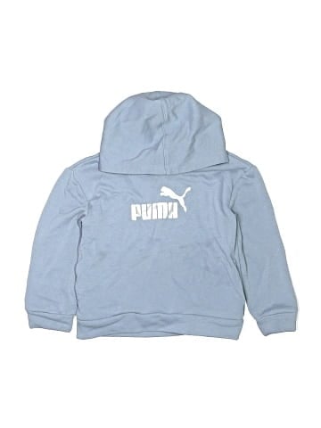 Puma Pullover Hoodie (view 1)