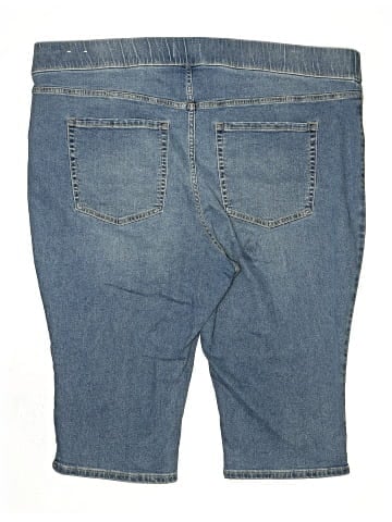 Lane Bryant Denim Shorts (view 2)