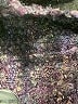 Westbound Tweed Purple Turtleneck Sweater Size S - photo 8