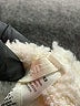 SKIMS Ivory Cardigan Size S - photo 7