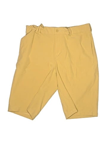 Nike Athletic Shorts (view 1)