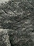 Free Country Black Vest Size XXL - photo 6