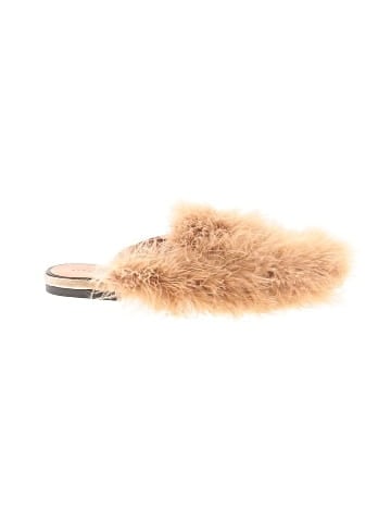 Trafaluc by Zara Mule/Clog (view 1)