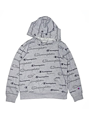 Champion Pullover Hoodie (view 1)