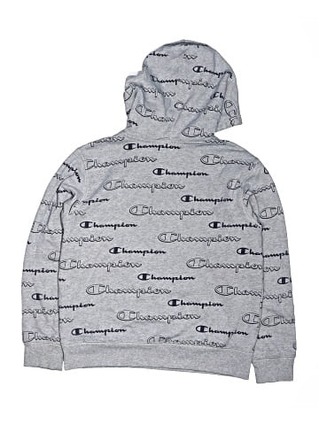 Champion Pullover Hoodie (view 2)