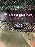 Sharagano 100% Polyester Metallic Green Jacket Size 14 - photo 6