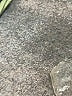 Ann Taylor Black Pullover Sweater Size XXL - photo 8