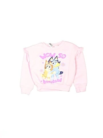 Bluey Sweatshirt (view 1)