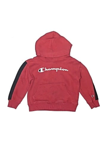 Champion Pullover Hoodie (view 1)