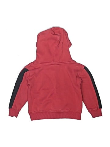 Champion Pullover Hoodie (view 2)
