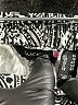 Marciano Paisley Black Casual Pants Size 14 - photo 4