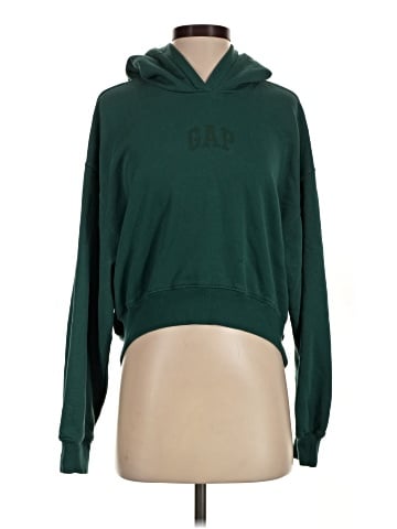 Gap Pullover Hoodie (view 1)