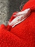 Athleta Red Pullover Hoodie Size M - photo 8