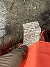 Raya Sun Solid Orange Board Shorts Size XL - photo 5