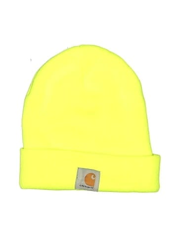 Carhartt Beanie (view 1)