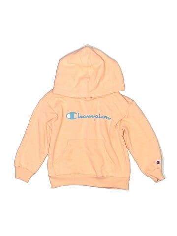Champion Pullover Hoodie (view 1)