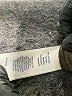 Rafaella Green Black Casual Pants Size 16 - photo 5