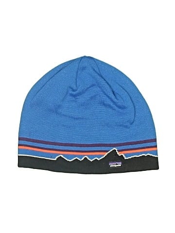 Patagonia Beanie (view 1)