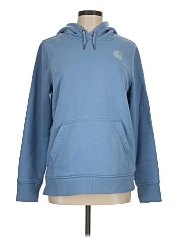 Carhartt Pullover Hoodie (view 1)