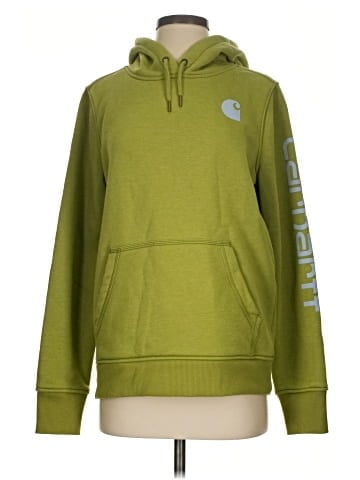 Carhartt Pullover Hoodie (view 1)