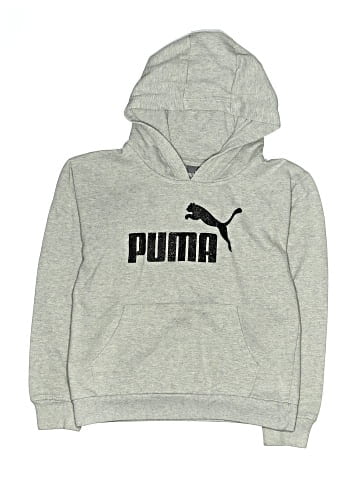 Puma Pullover Hoodie (view 1)