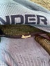 Under Armour Blue Tank Top Size XS - photo 8