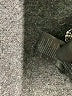 Cos Metallic Gray Pullover Sweater Size XS - photo 8
