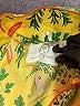 Printfresh Tropical Yellow Short Sleeve Button-Down Shirt Size XL - photo 4