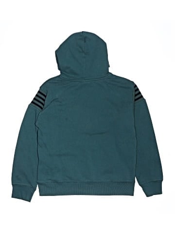 NFL Pullover Hoodie (view 2)