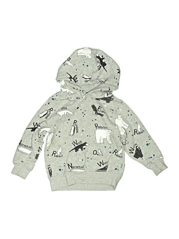H&M Pullover Hoodie (view 1)