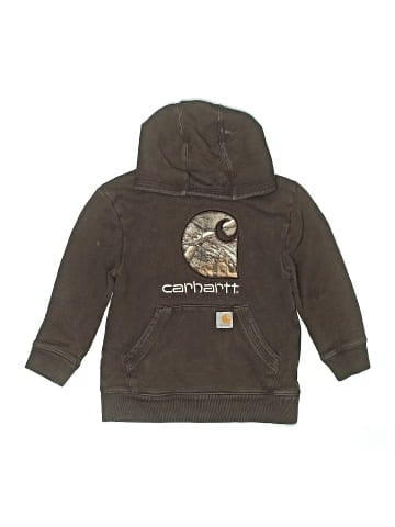 Carhartt Pullover Hoodie (view 1)