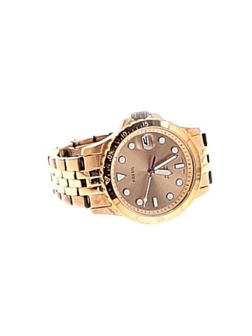 Fossil Watch (view 1)