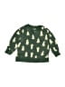 Hanna Andersson Print Green Pullover Sweater Size 12-18 mo - photo 1