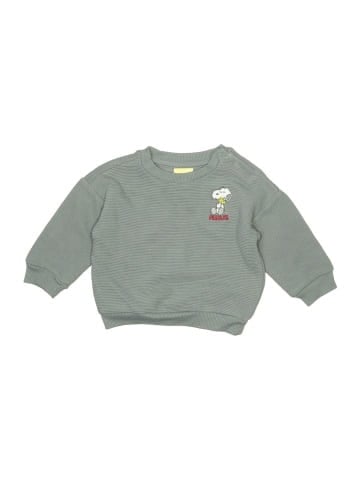 Peanuts Sweatshirt (view 1)