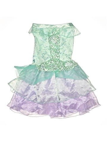 Disney Costume (view 1)