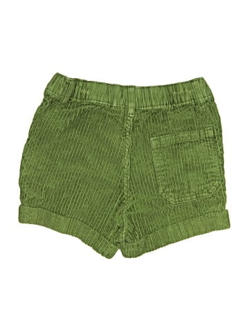 H&M Shorts (view 2)